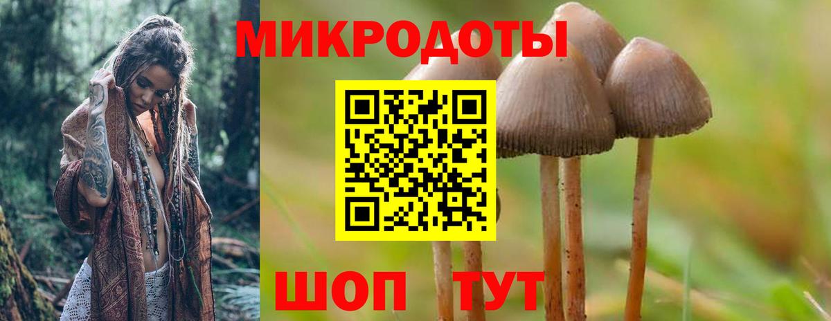 Псилоцибиновые грибы Magic Shrooms  Вход с VPN  Солнечногорск 